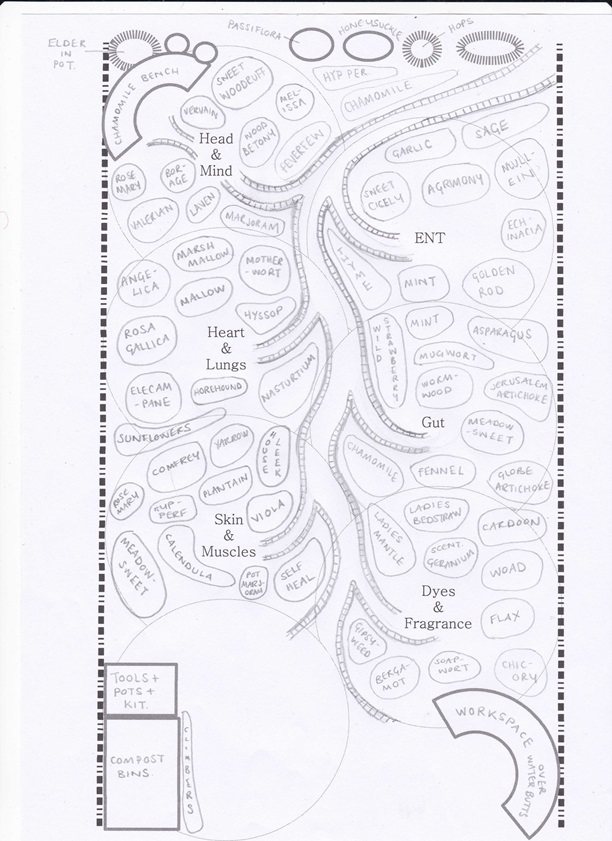 P and D garden plan 2017