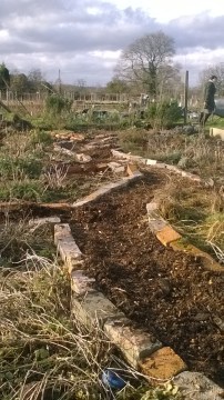 WP_20180130_14_15_38_Pro