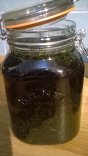 WP_20180131_22_53_08_Pro